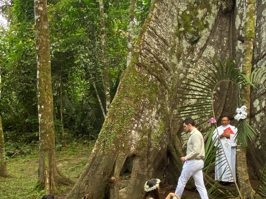 Amazon Green Tours-玛瑙斯必去景点