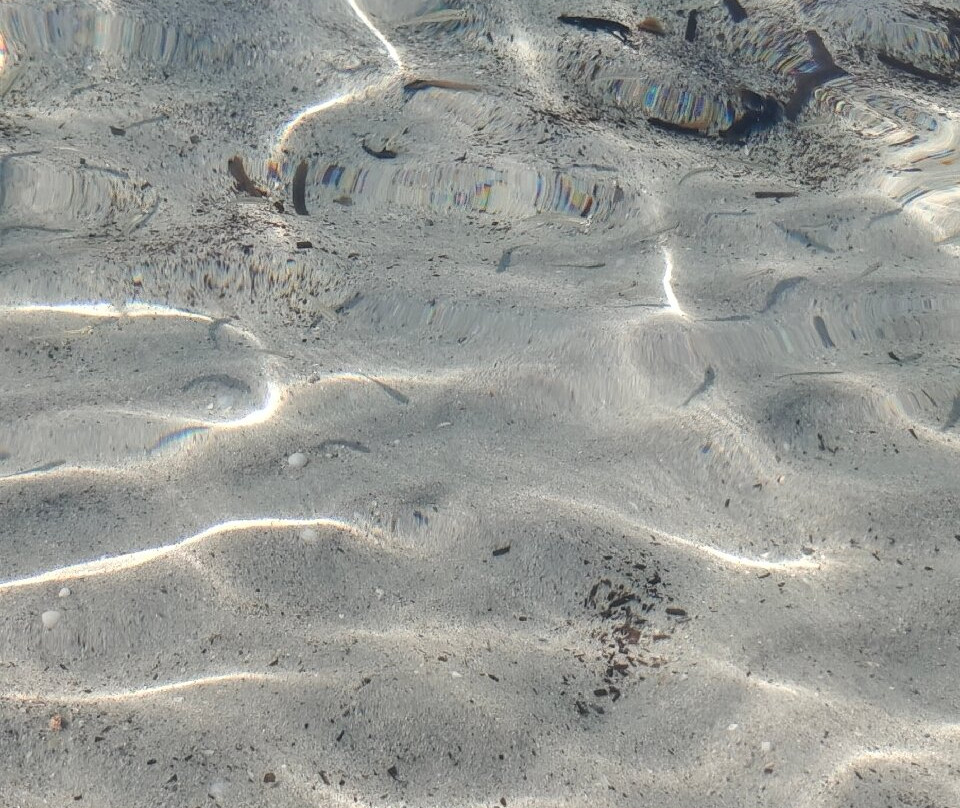 Spiaggia del porticciolo di Punta Aldia-Puntaldia必去景点