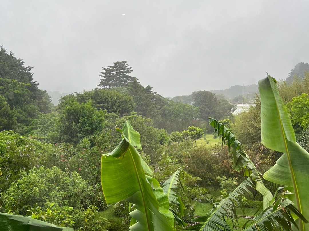 Catarata Los Murcielagos - Monteverde Waterfall-蒙特沃德必去景点