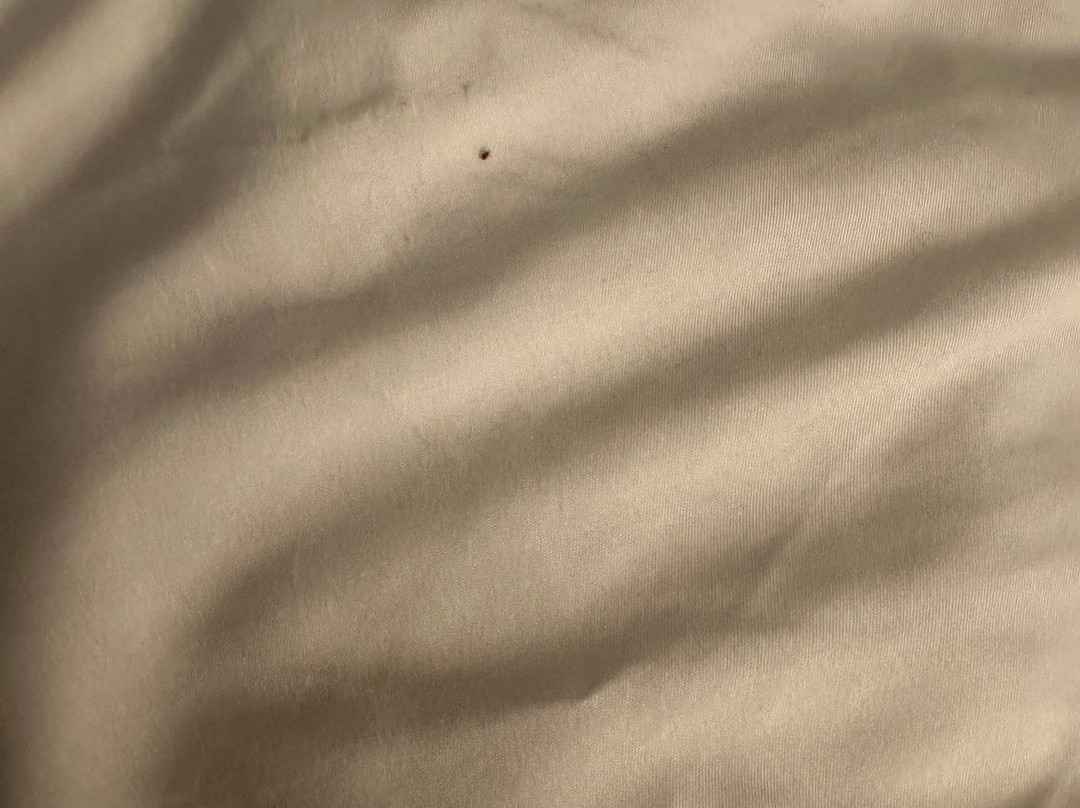 Comfort Inn & Suites主图