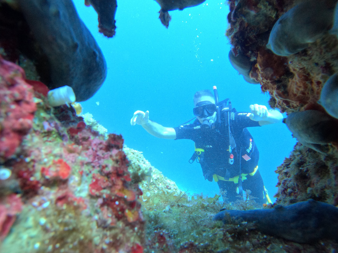 Extreme Divers-雅典必去景点