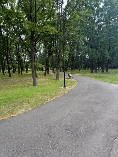 Dendrariu Park-基希讷乌必去景点