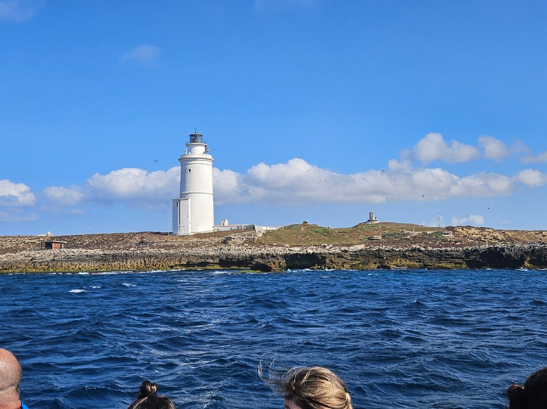 Yellow Submarine-塔里法必去景点