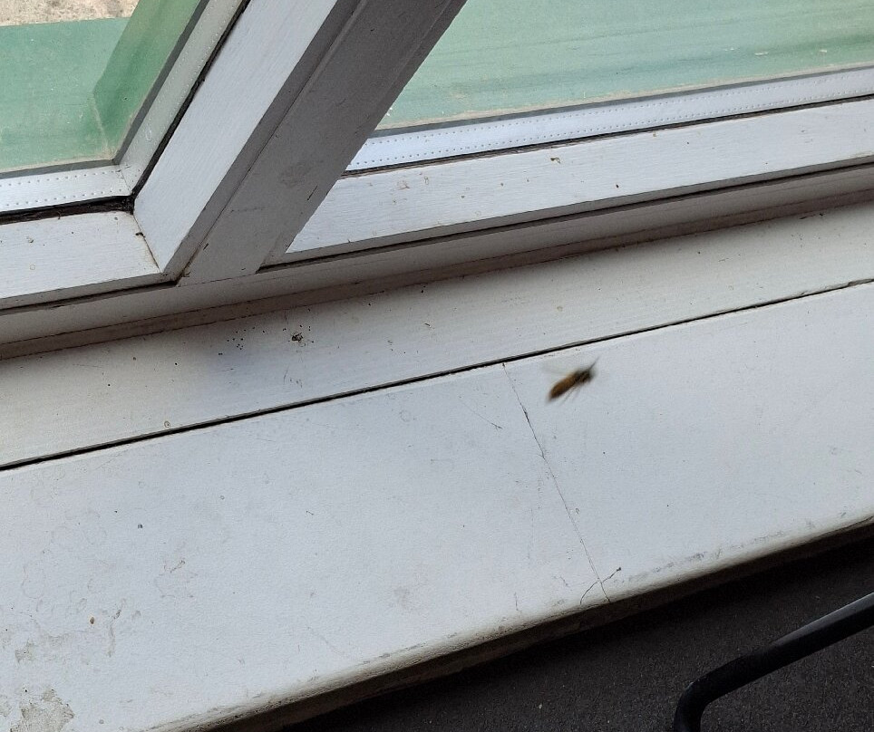 Hainault Forest Country Park-Chigwell必去景点