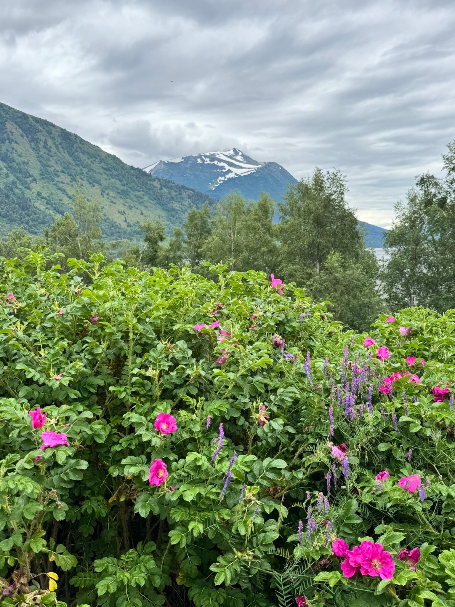 Turnagain View Lodge & Wedding Venue-官方
