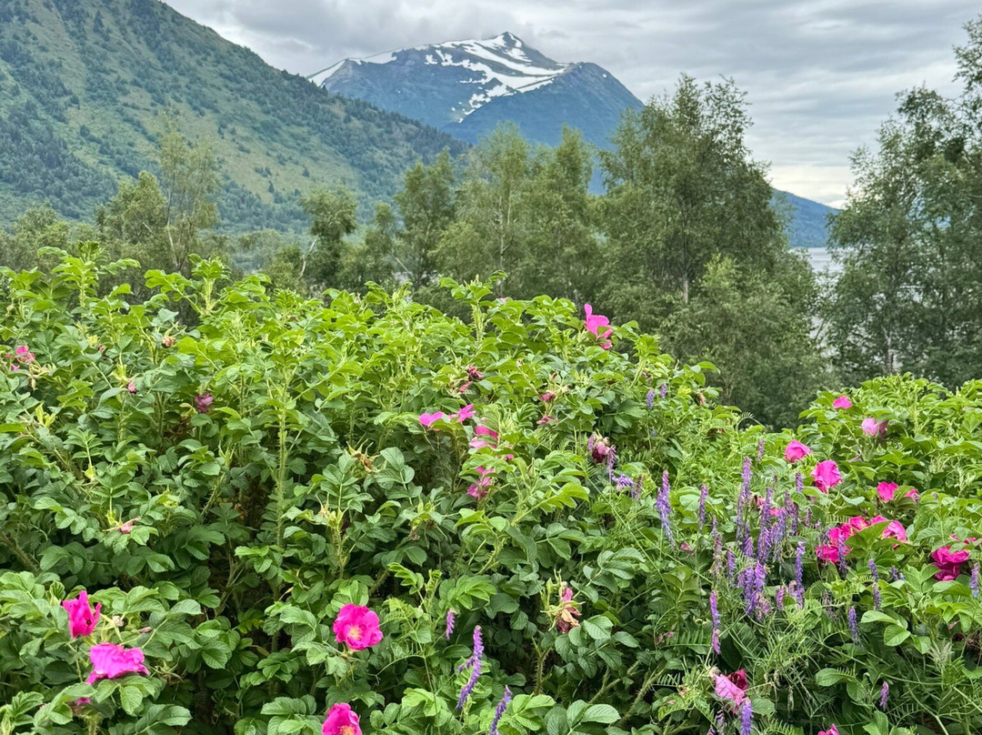 Turnagain View Lodge & Wedding Venue主图