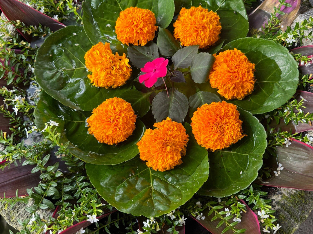 Subak Tabola Villa主图