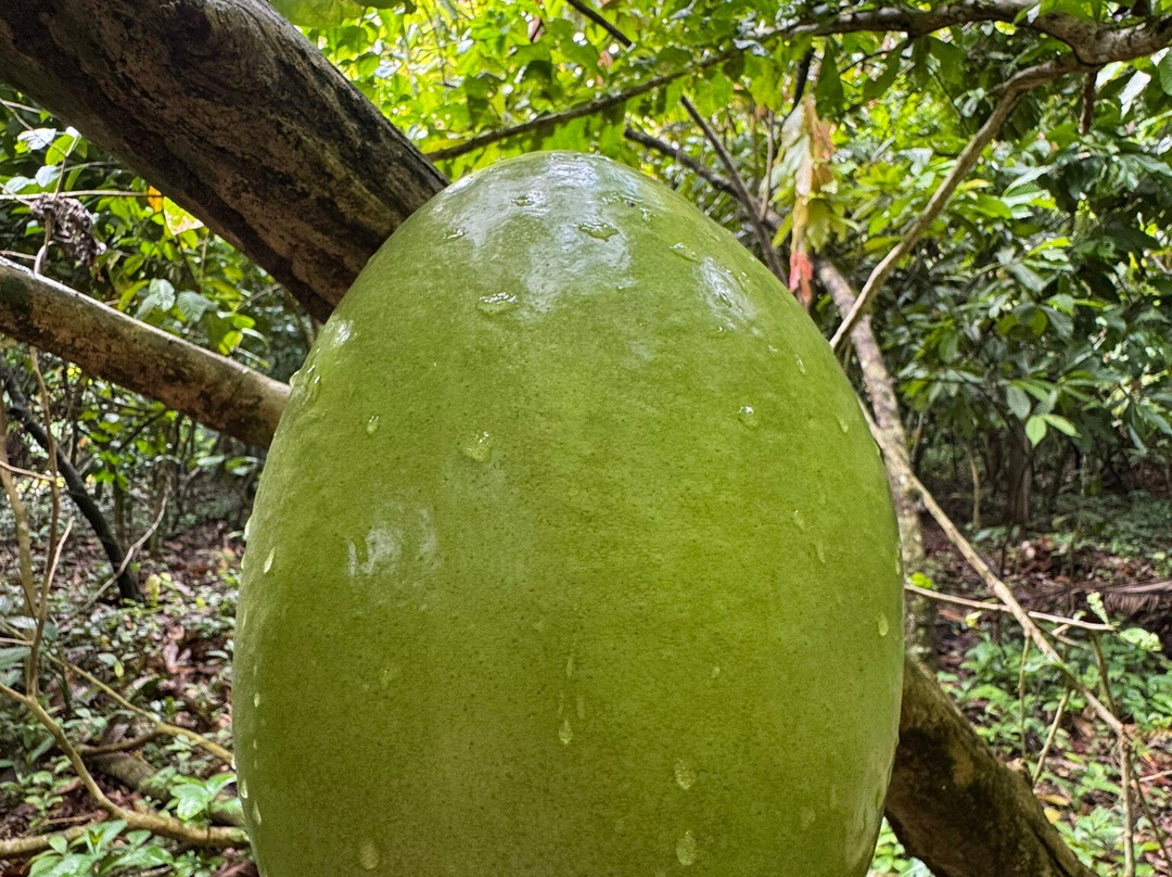 Booking Adventures-Sabana de la Mar必去景点