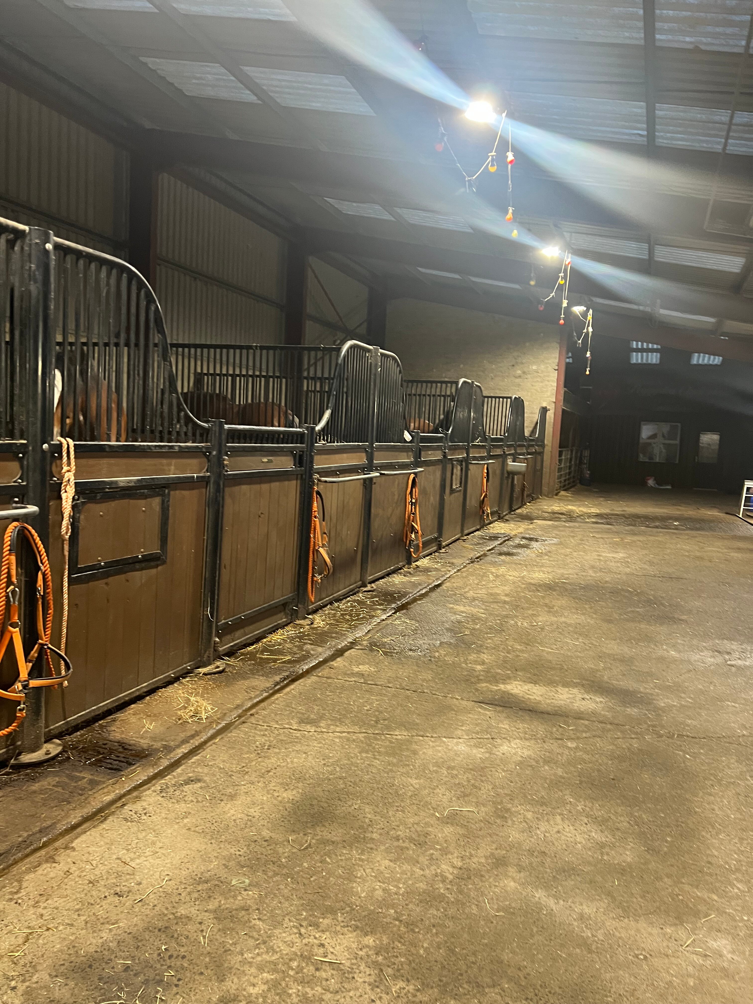 Peggyslea Farm-官方