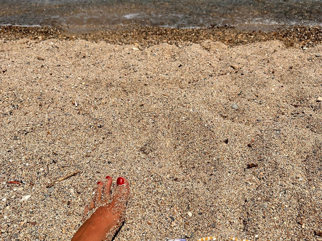 Romantica Leftis主图