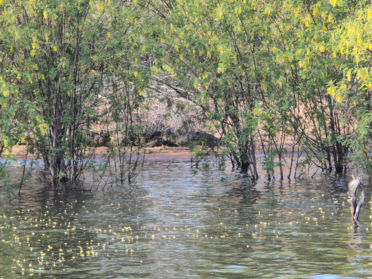 Joe Mthombeni-Binga必去景点
