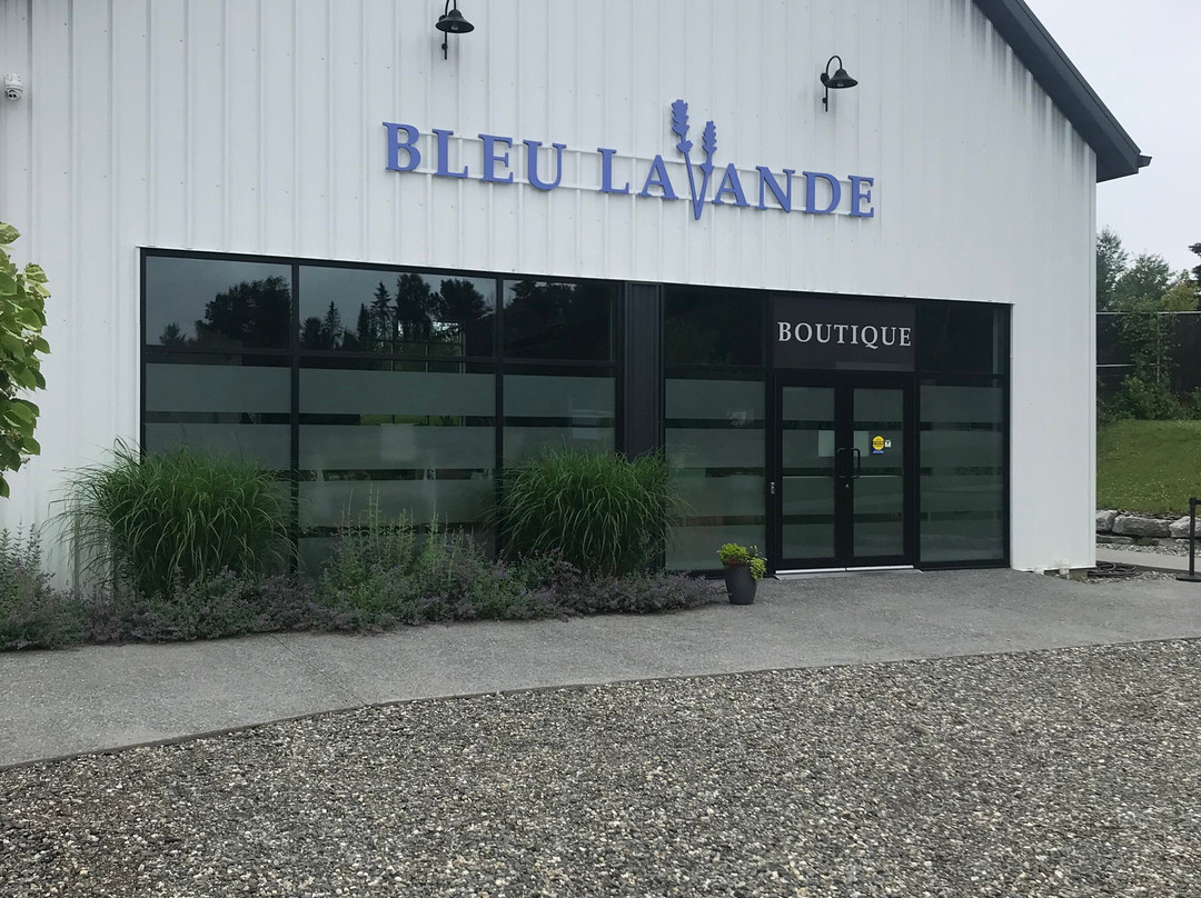 Bleu Lavande-梅戈格必去景点