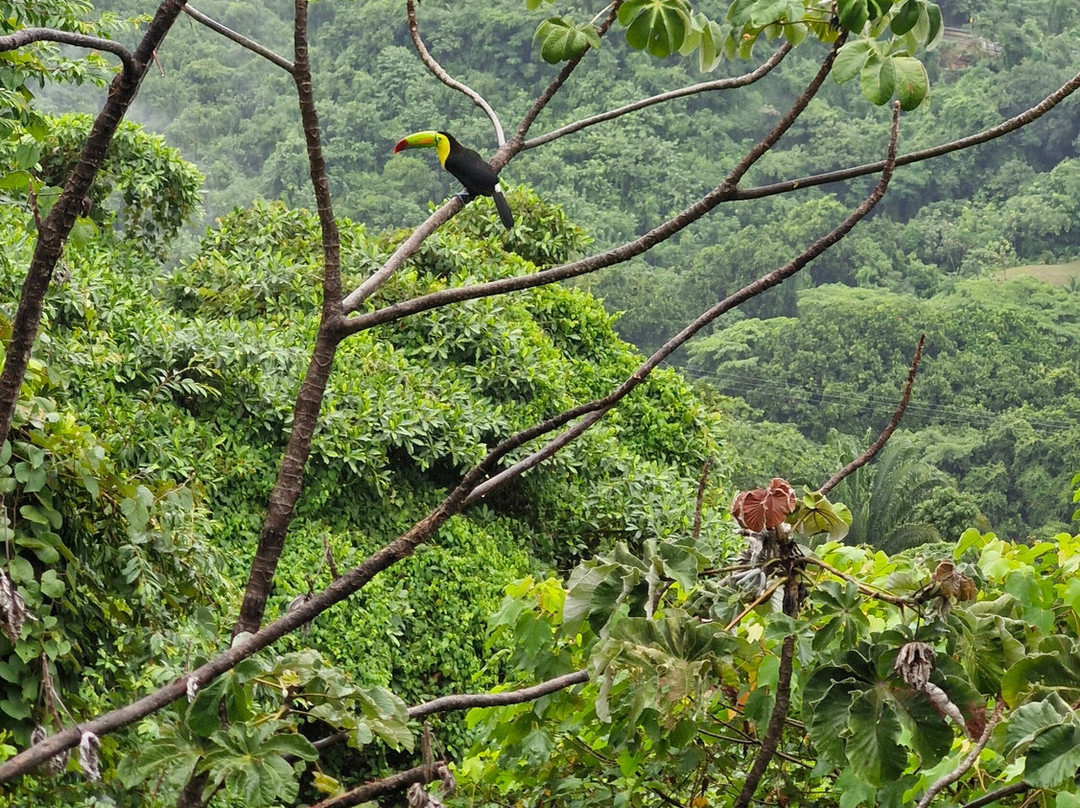 Faro Mirador Tayrona-Minca必去景点