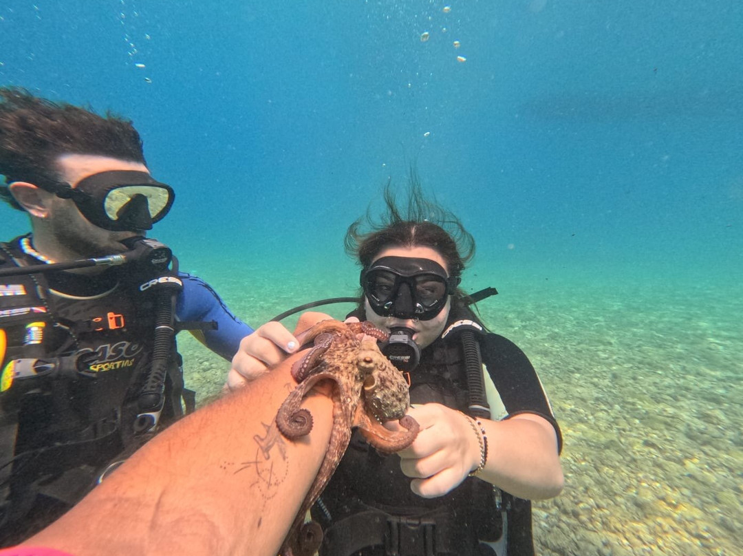 Porto Heli Scuba Club-Porto Heli必去景点