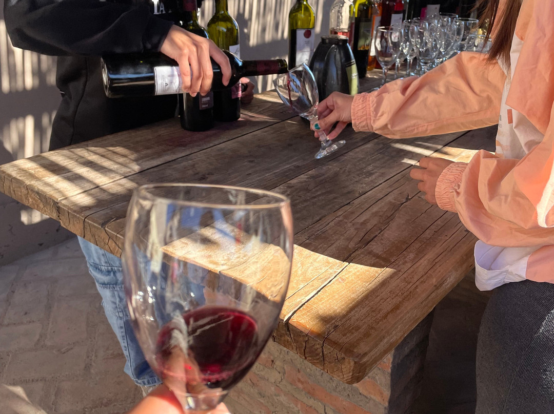 Bodega Labiano-圣拉斐尔必去景点