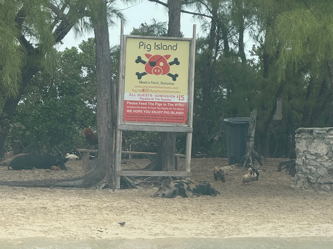 Spanish Wells SeaVentures Excursions | Harbour Island, Eleuthera, Bahamas Guide-Spanish Wells必去景点