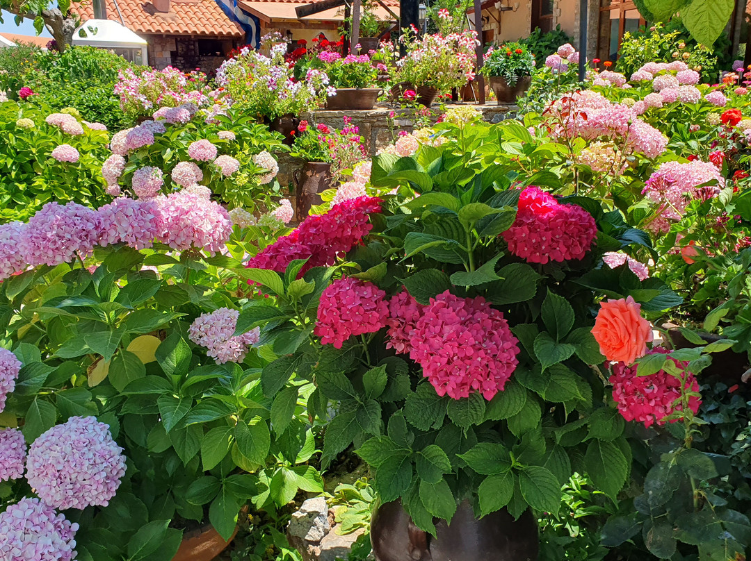 Lassithi Plateau-Lasithi Prefecture必去景点