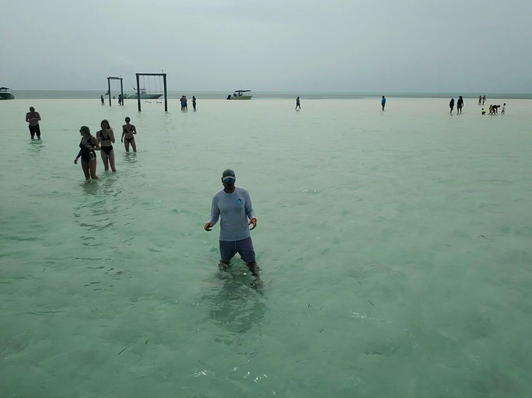 Da Salty Pig Adventures-Spanish Wells必去景点