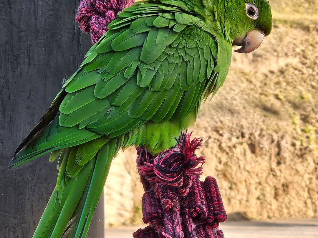 MW Trekking Viagens e Turismo-Sao Jose do Barreiro必去景点