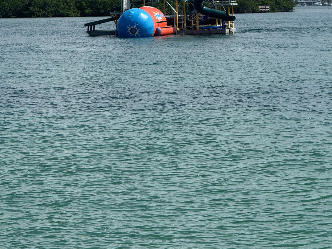 Captain Bam's Jungle Float-布雷登顿必去景点