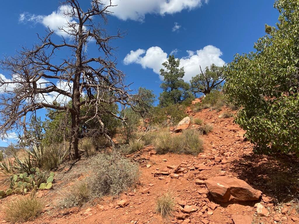 Sedona Airport Scenic Overlook-塞多纳必去景点