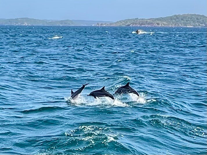 Sail Lanka - Trincomalee-Trincomalee必去景点