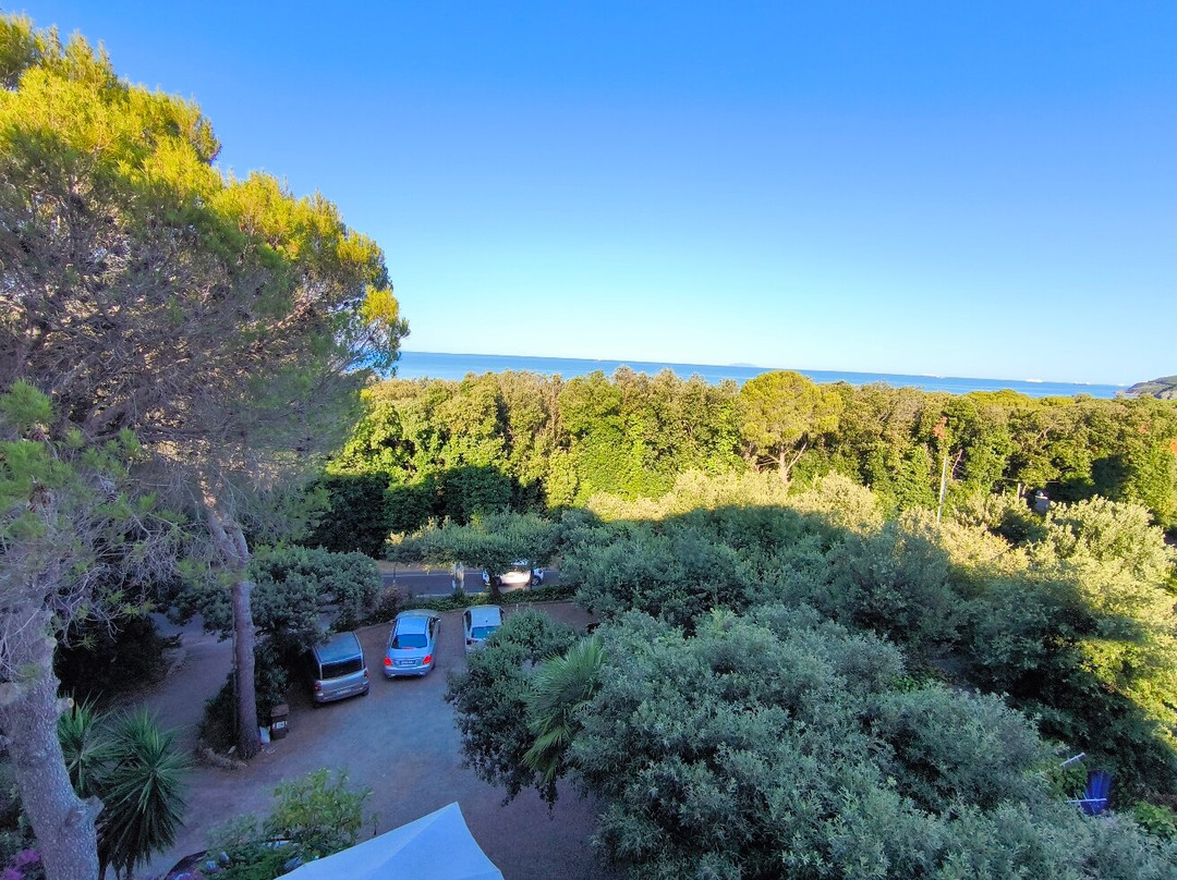 Hotel Rosa del Tirreno主图