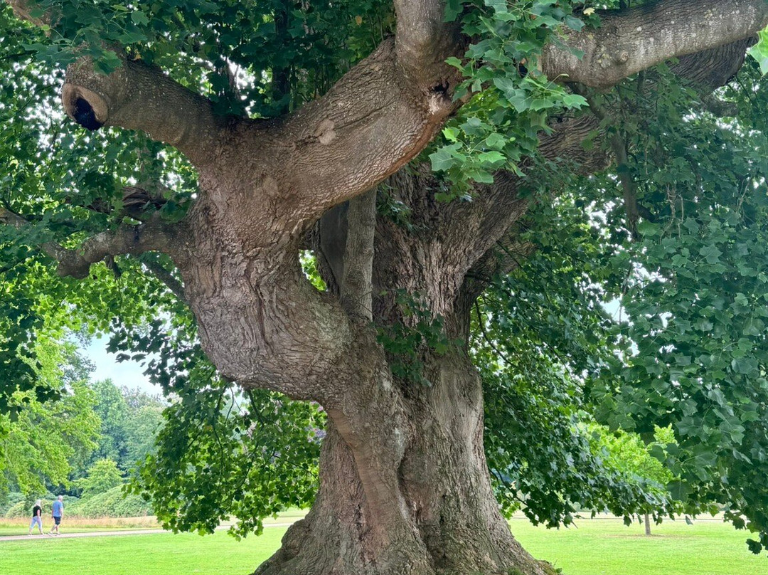Fredensborg Palace-弗雷登斯堡必去景点
