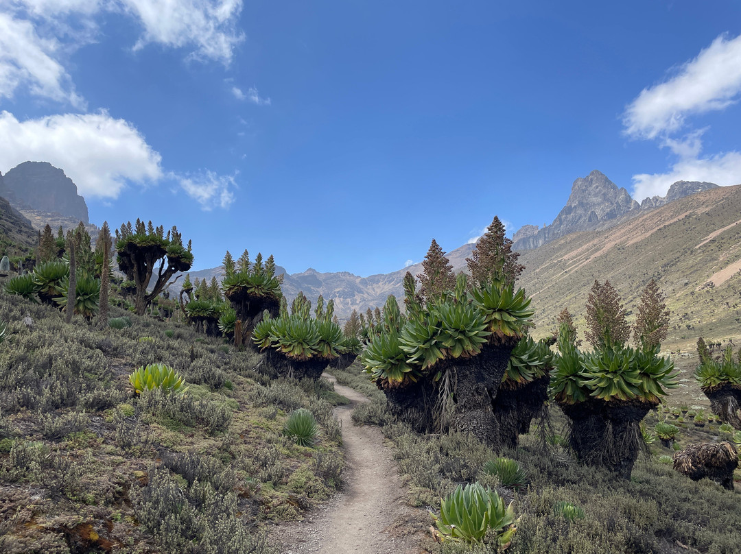 African Ascents-南由基必去景点