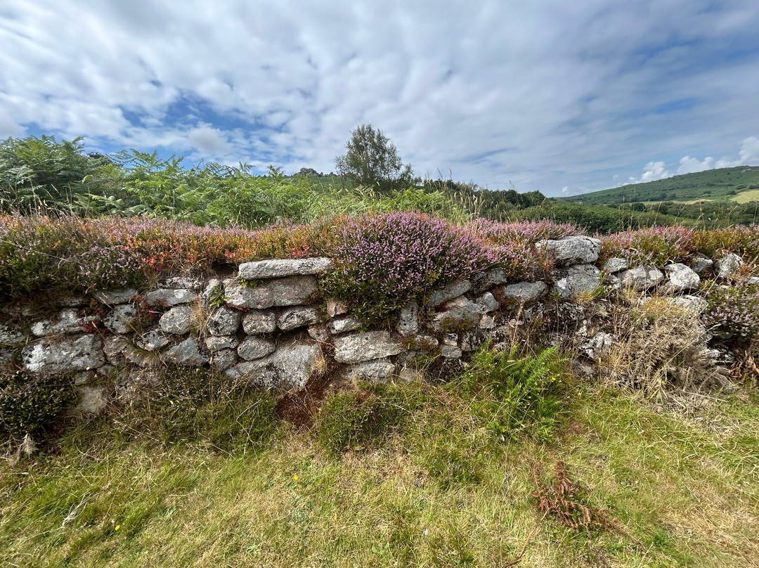 Hound Tor-达特穆尔国家公园必去景点