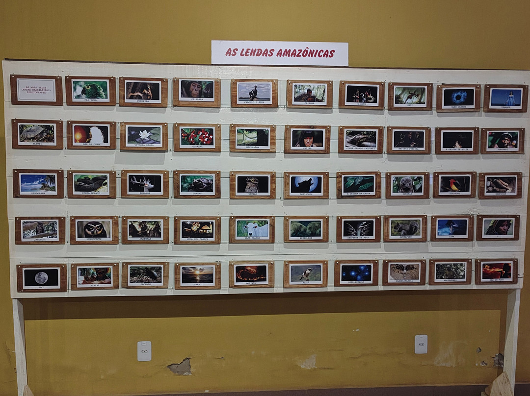 Museu do Marajo-Cachoeira Do Arari必去景点