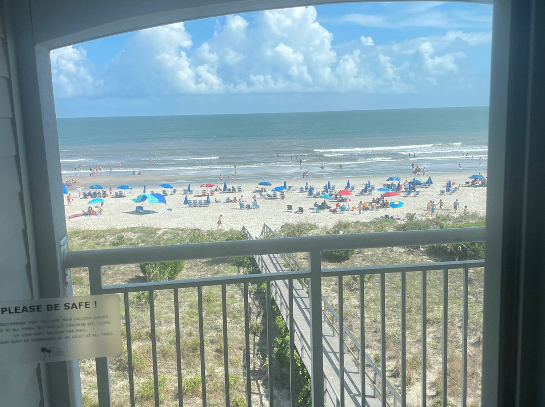 棕榈林海滨酒店主图