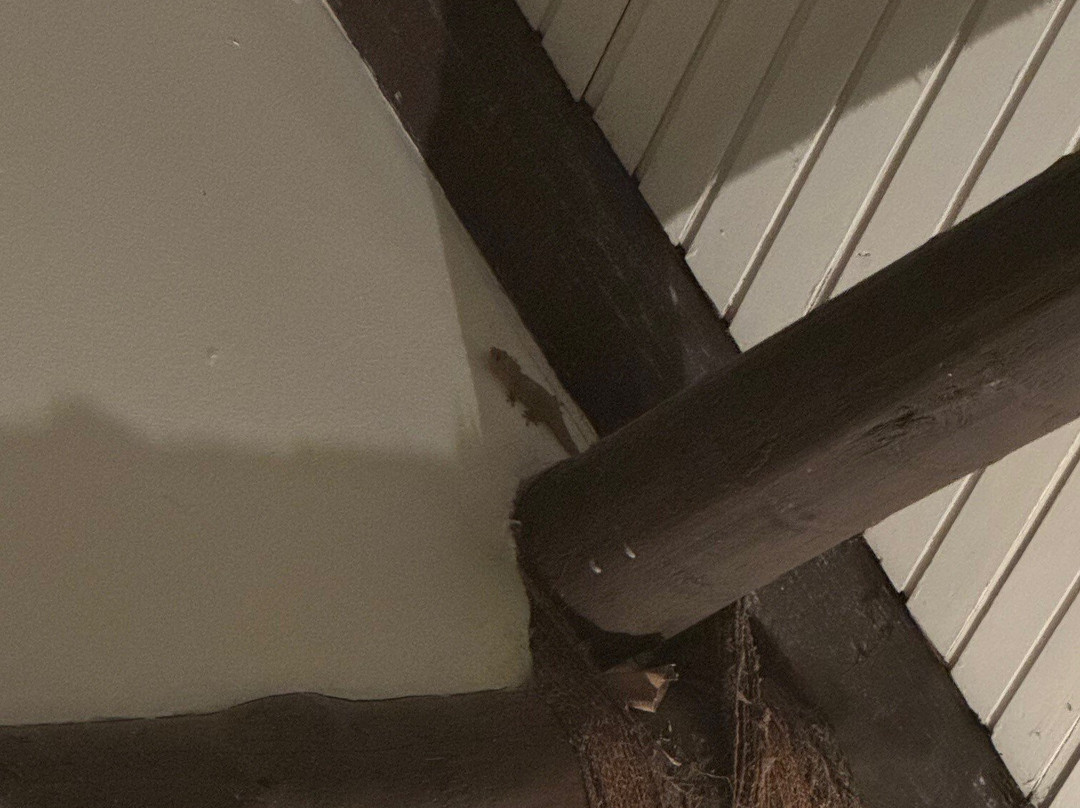 亚萨瓦岛度假村主图