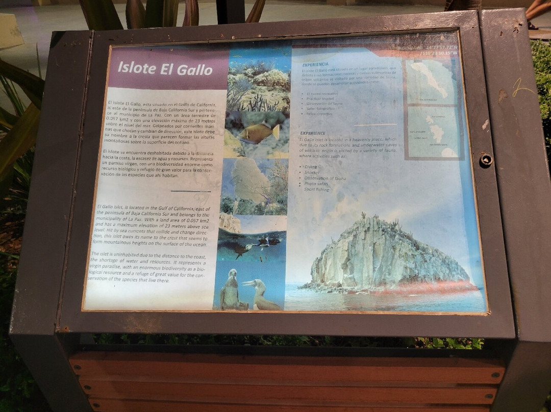 Malecon-拉巴斯必去景点