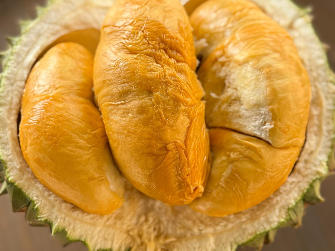 Glo Durian Farm & Camp-加叻必去景点