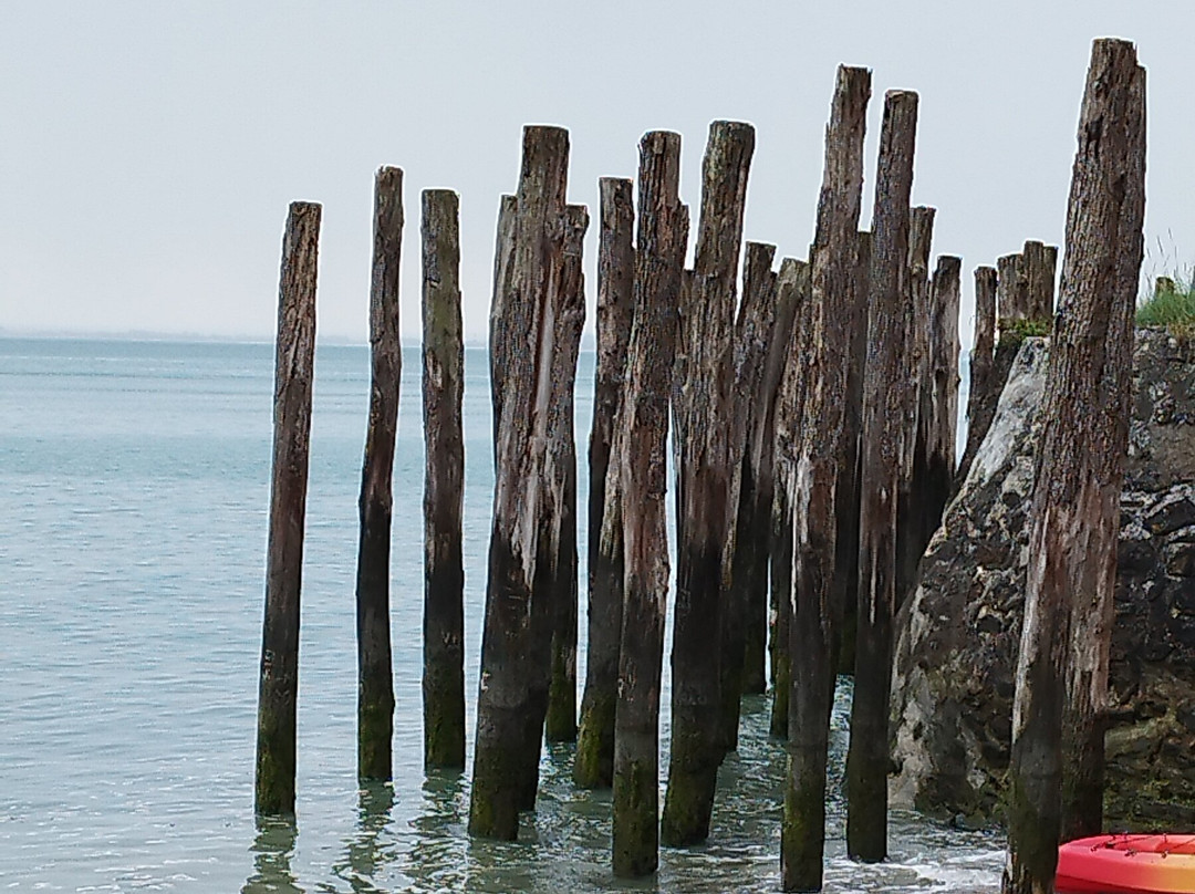 La Ferme Marine-康卡勒必去景点