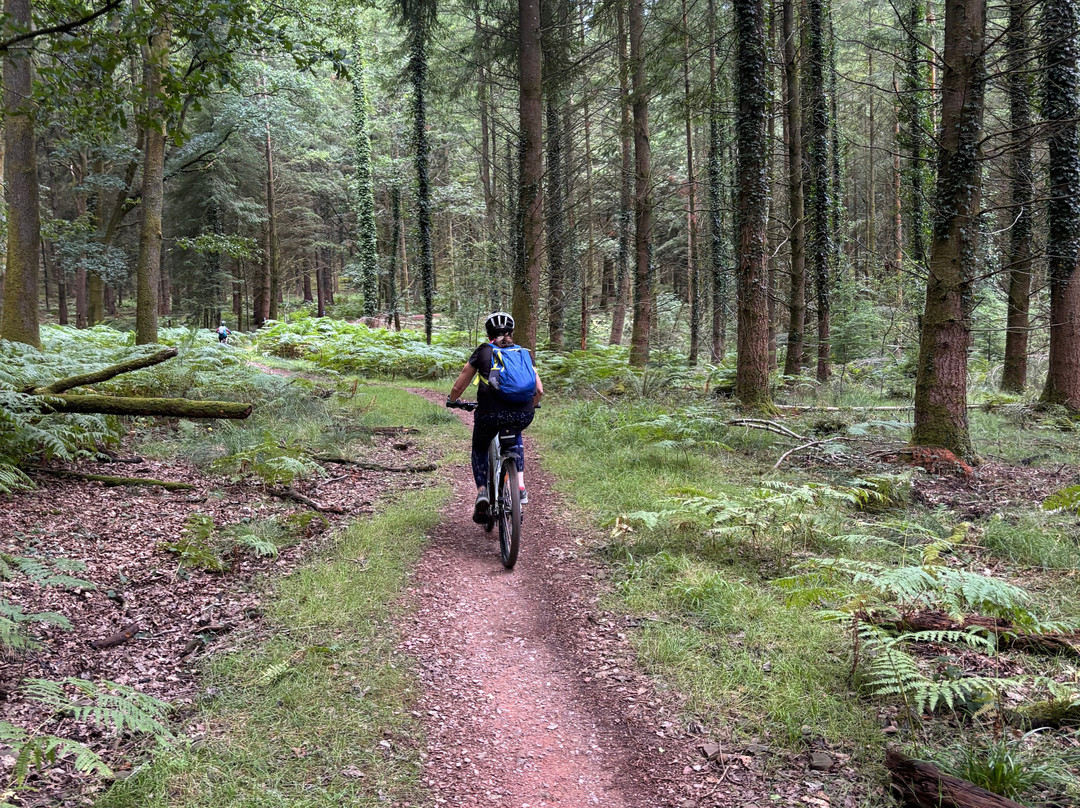 Forest of Dean Cycle Centre-Coleford必去景点