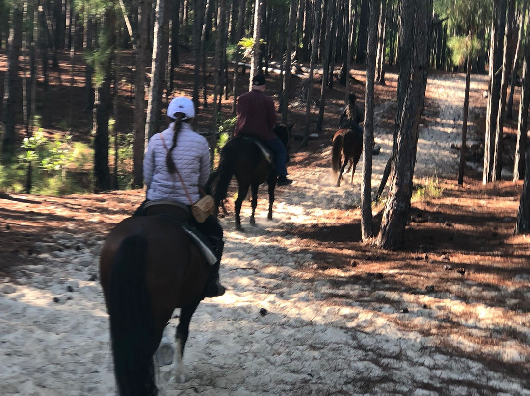 Floripa Click Tour-弗洛里亚诺波利斯必去景点