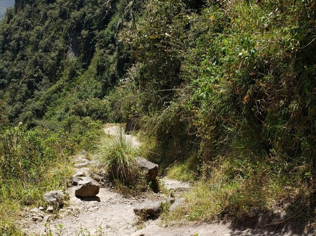 Pululahua Volcano & Geobotanical Reserve-基多必去景点