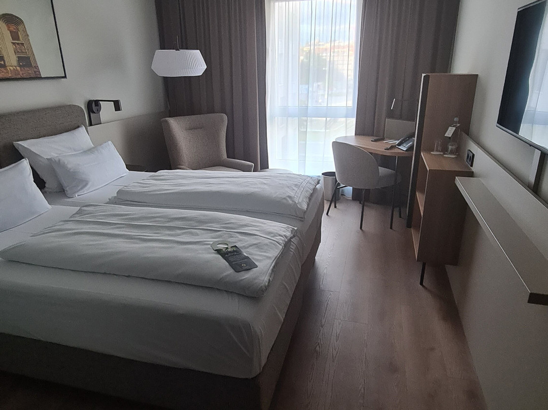 达姆施塔特迎宾酒店主图