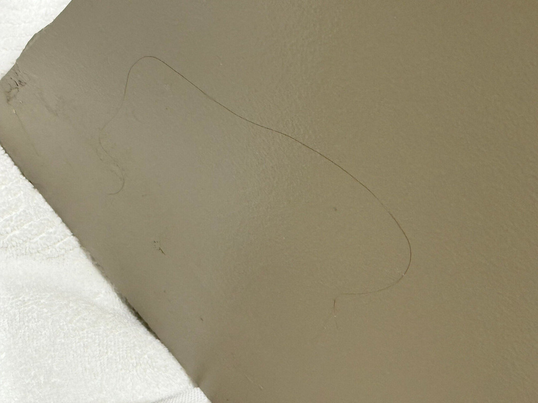 奥尔巴尼万豪酒店主图