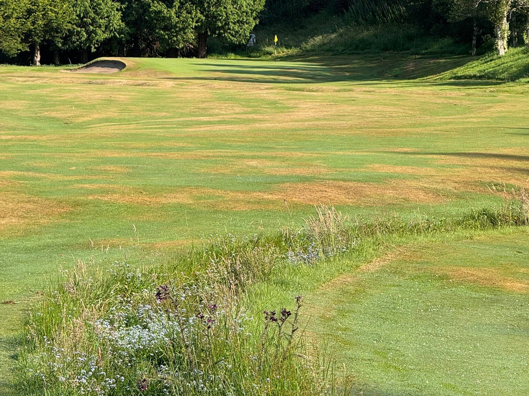 Innerleithen Golf Club-Innerleithen必去景点