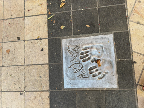 The Path of the Stars-戛纳必去景点