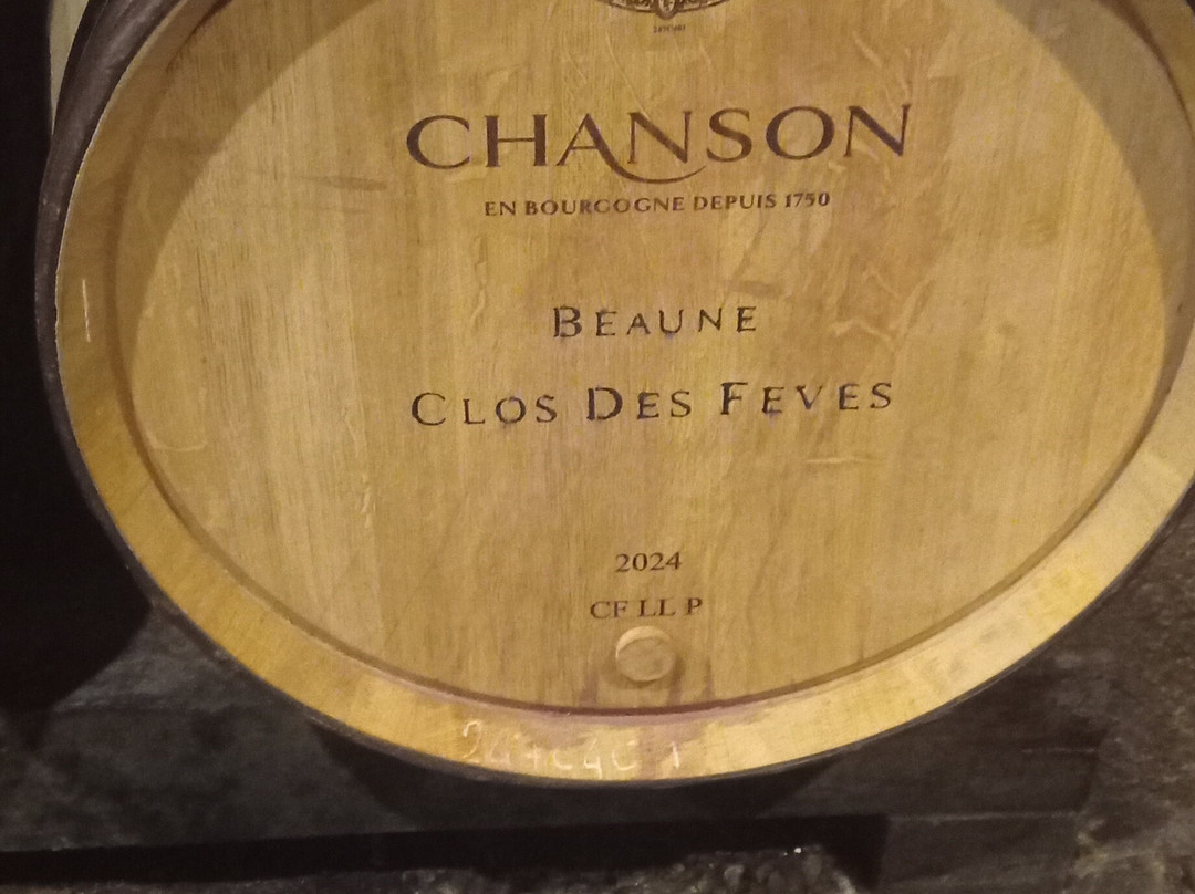Domaine Chanson Pere & Fils-博讷必去景点