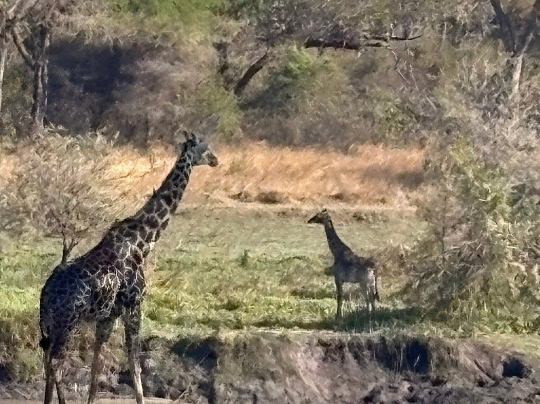 Cruize Wild Safaris-Iringa必去景点