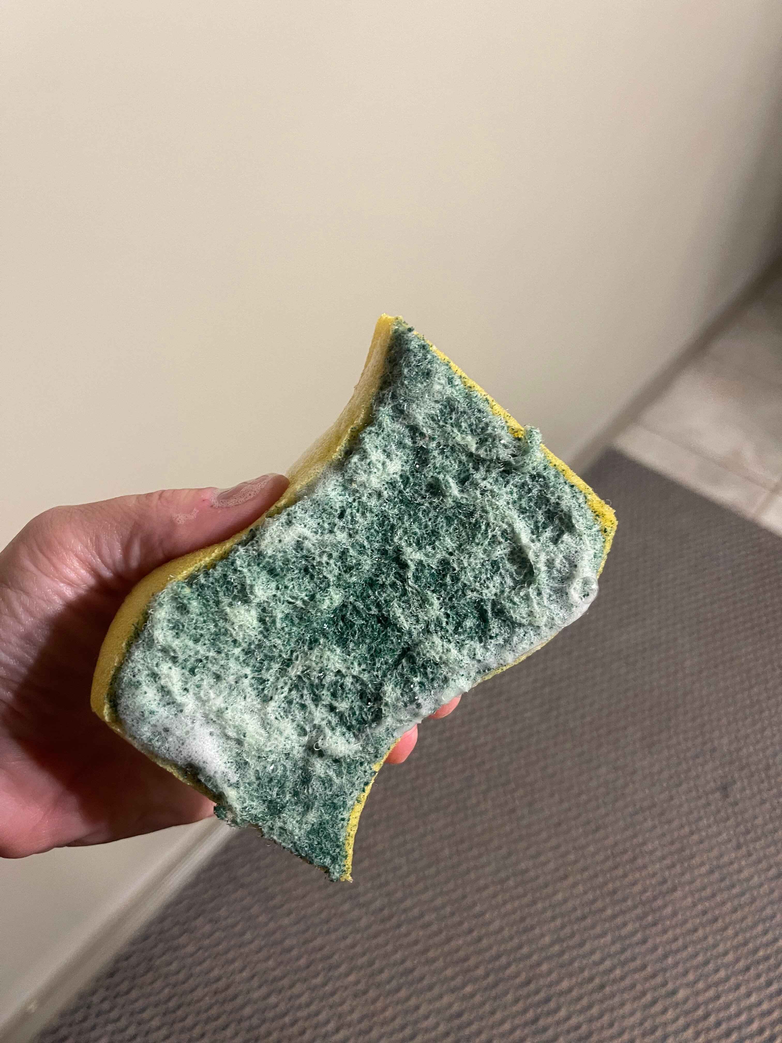 Hilltop Inn Salmon Arm-官方