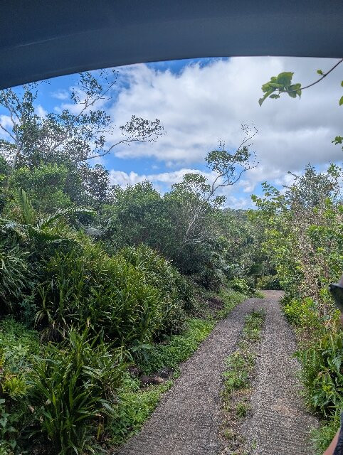 Ebony Forest Reserve-沙马雷勒必去景点