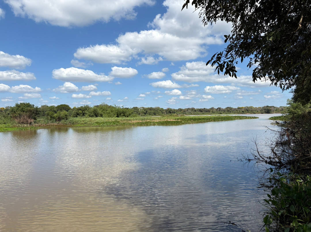 Pantanal Safaris-波科内必去景点