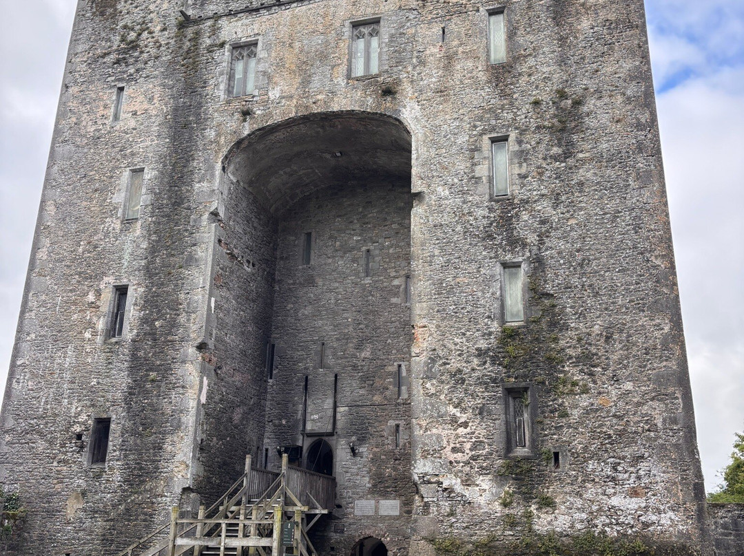 O'Callaghans Coaches & Chauffeur Services-基拉尼必去景点