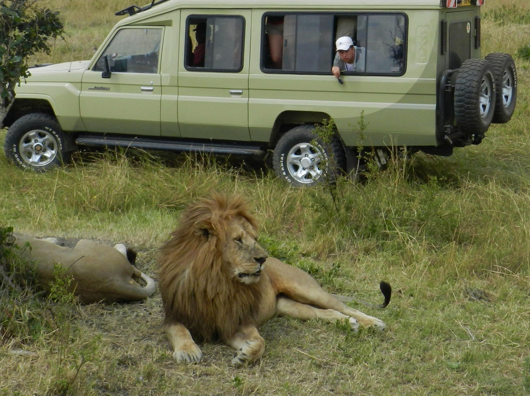 The Sprout Experience-克利夫兰必去景点